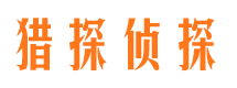 石屏商务调查